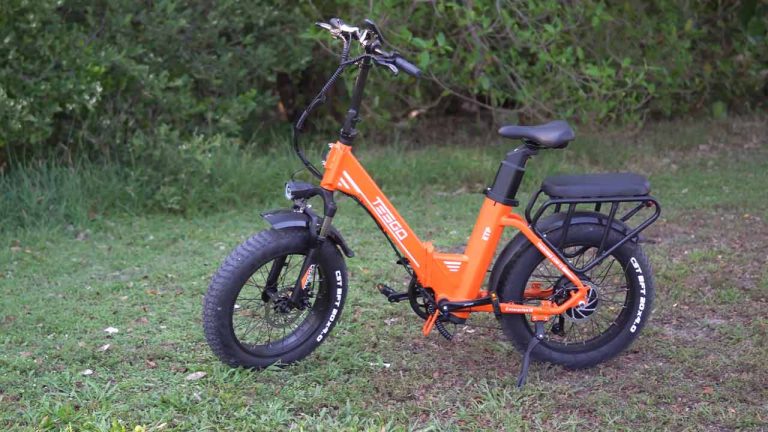 Tesgo Enterprise Foldable Fat Tire E-Bike Review